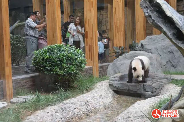 保定生态园大熊猫管_卧式暗装风机盘管2台